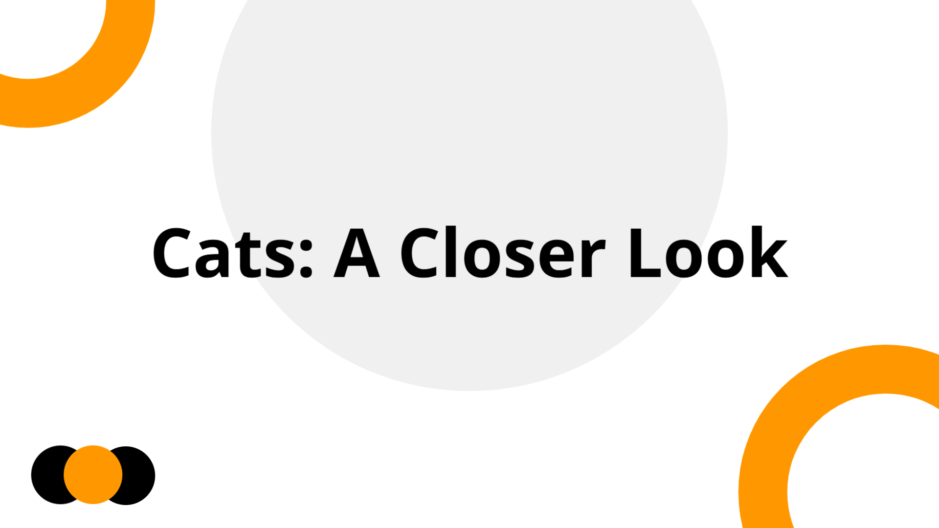Cats: A Closer Look | Slidebyslide.ai