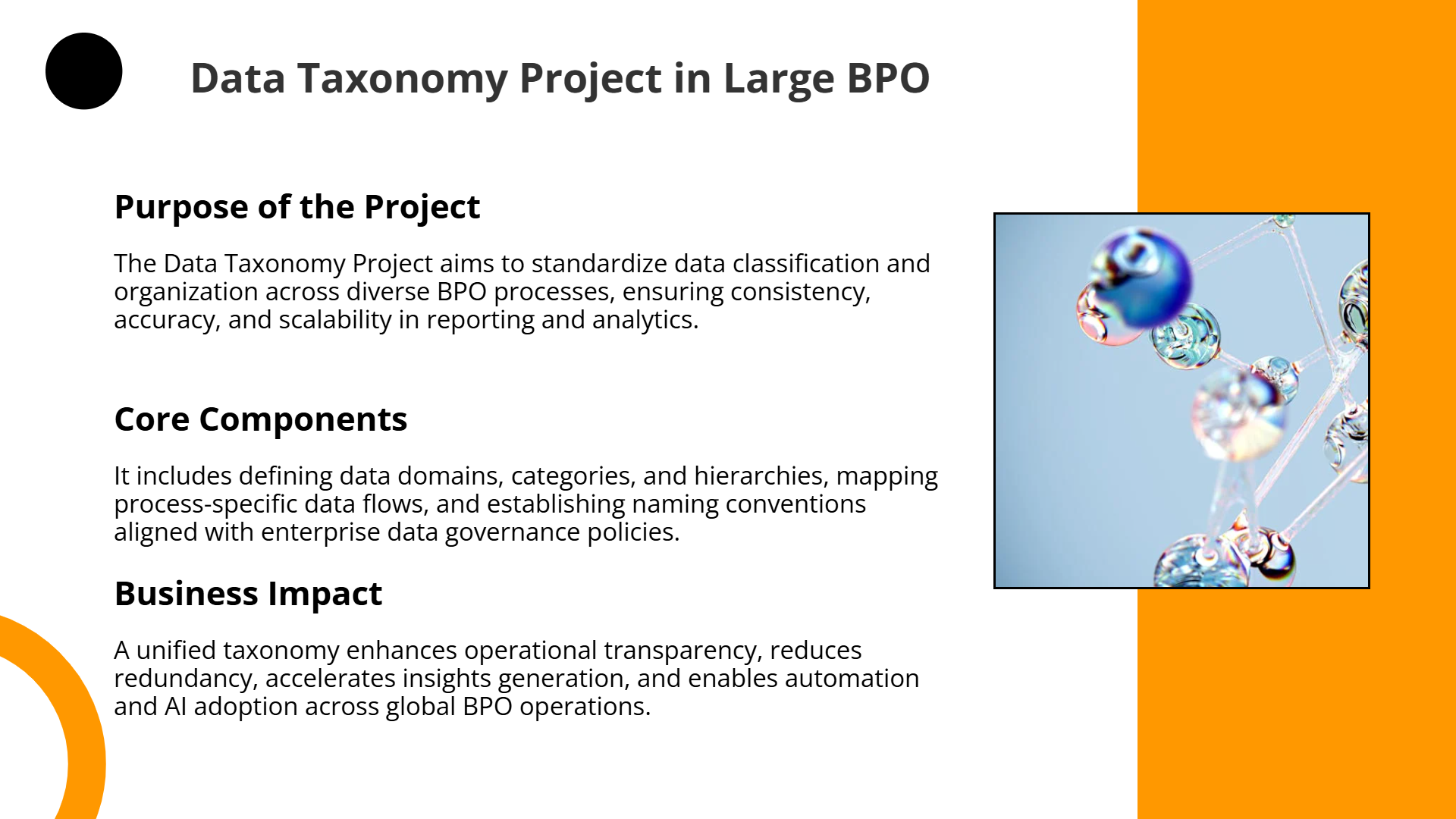 Data Taxonomy Project in Large BPO | Slidebyslide.ai
