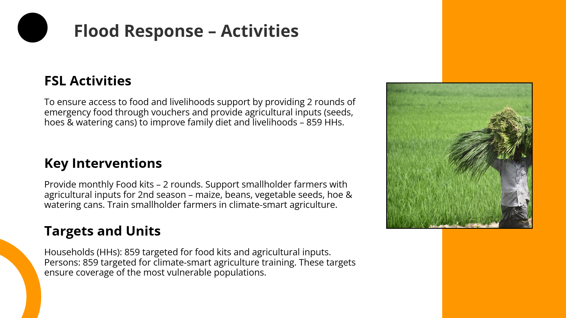 FSL Activities Slide | Slidebyslide.ai