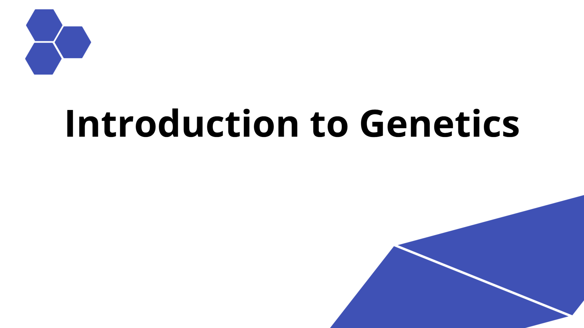 Introduction to Genetics | Slidebyslide.ai