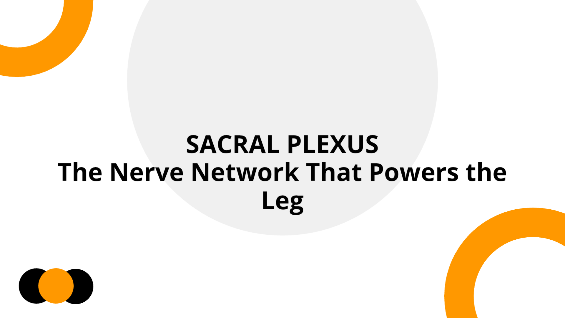 Sacral Plexus Made Simple — 16:9 Slides | Slidebyslide.ai